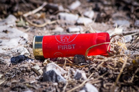 Shotgun shell