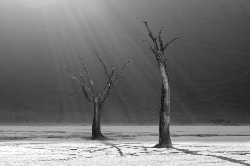 Sunrays are illuminating dead camelthorn trees in the famous Deadvlei in Namib-Naukluft National Park, Namibia.