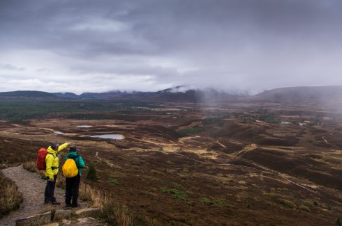 Walking in Glenmore, Scottish Highlands.