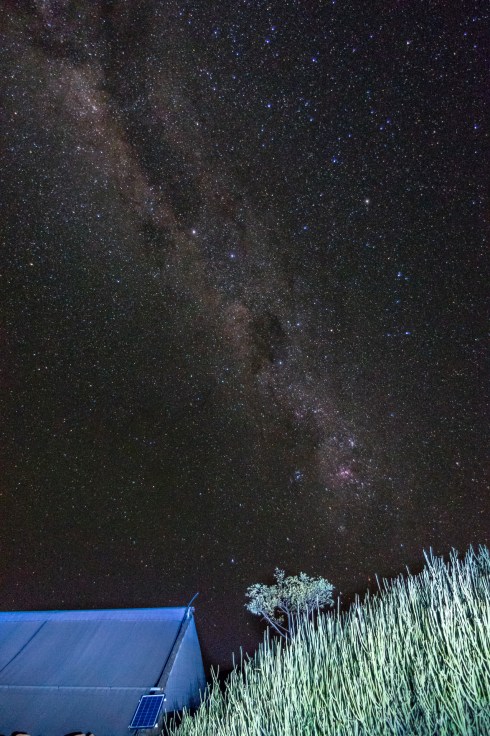 Star gazing