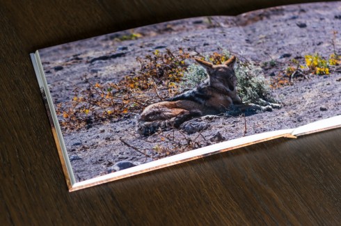 saal digital photo book