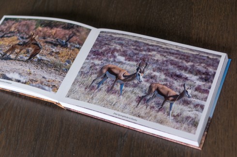 saal digital photo book