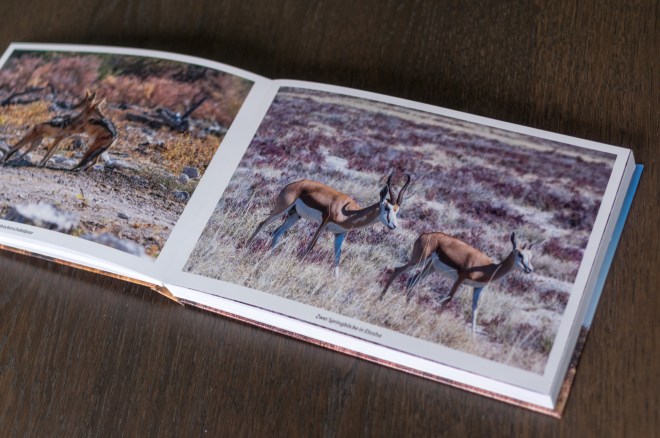 saal digital photo book