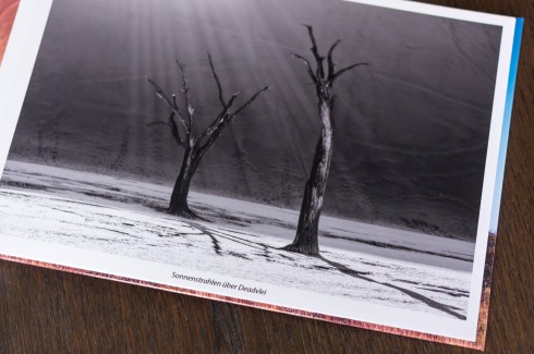 Shadows are a bit too deep for my liking, having erased much of the detail in the left tree's lower trunk area