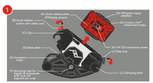 The different components